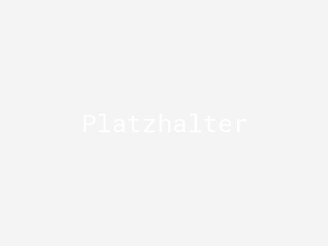 Eleifend sceler